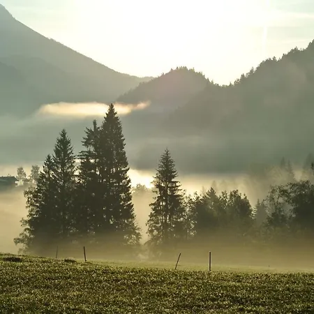 Seespitzhof * Scheffau am Wilden Kaiser
