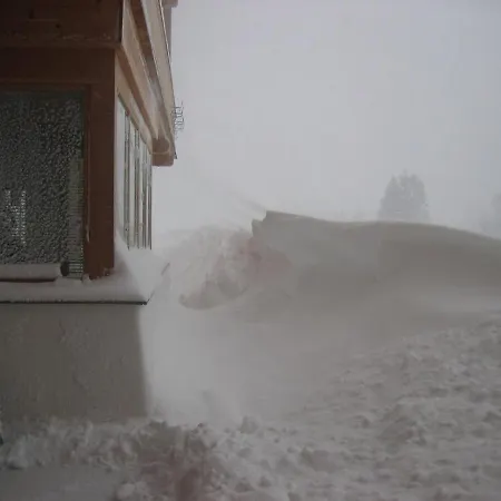 Seespitzhof 쉐파우암윌던카이저