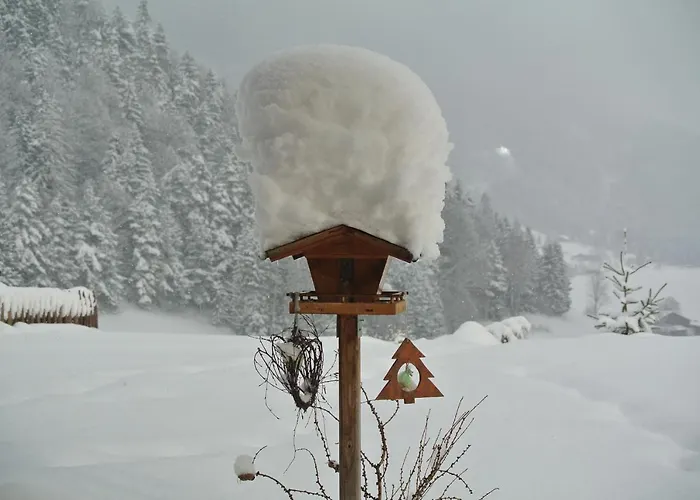 Seespitzhof Scheffau am Wilden Kaiser