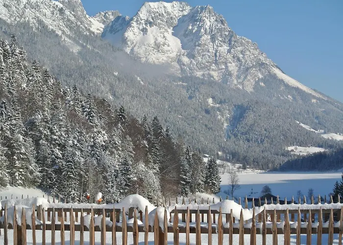 Seespitzhof Appartement Scheffau am Wilden Kaiser