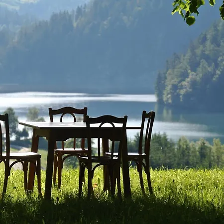 Seespitzhof Apartamento