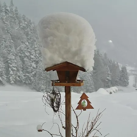 Seespitzhof Scheffau am Wilden Kaiser