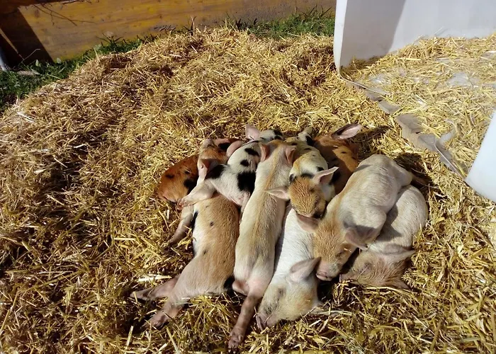Seespitzhof * Scheffau am Wilden Kaiser
