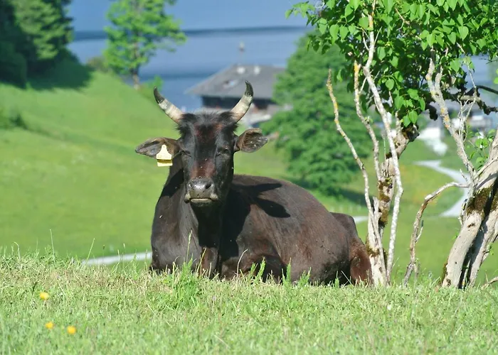 Appartamento Seespitzhof *