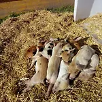 Seespitzhof * Scheffau am Wilden Kaiser