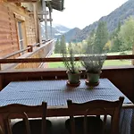 Seespitzhof Appartement Scheffau am Wilden Kaiser